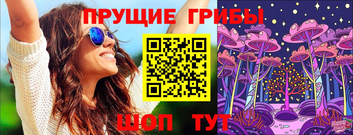 Тосно  Галлюциногенные грибы мицелий  Вход с VPN  Псилоцибиновые грибы Psilocybine cubensis 