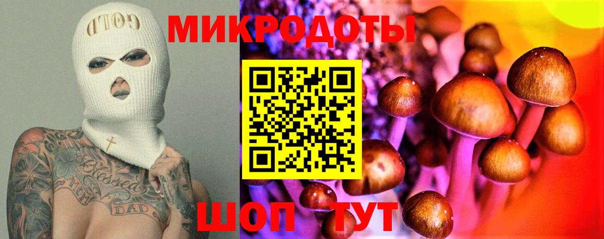 Псилоцибиновые грибы Psilocybine cubensis Тосно